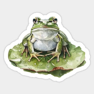 Wonderful frog! Sticker